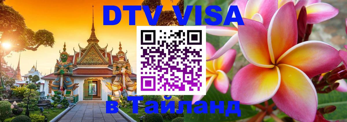 Сколько стоит DTV виза — актуальные цены, оформление даже без документов - Ростов-на-Дону  04.10.2025 